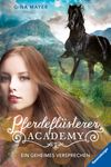Pferdeflüsterer-Academy, Band 2 - Ein geheimes Versprechen Cover des Buches Pferdeflüsterer-Academy, Band 2 - Ein geheimes Versprechen (ISBN: 9783473404513)