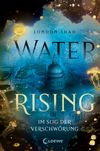 Water Rising - Im Sog der Verschwörung Cover des Buches Water Rising - Im Sog der Verschwörung (ISBN: 9783743209640)