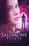 Salomons Fluch Cover des Buches Salomons Fluch (ISBN: 9783748180340)