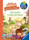 Wieso? Weshalb? Warum? Meine Vorlesegeschichten, Band 2: Was passiert in Wald und Wiese? Cover des Buches Wieso? Weshalb? Warum? Meine Vorlesegeschichten, Band 2: Was passiert in Wald und Wiese? (ISBN: 9783473600731)