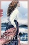 Sturmland Cover des Buches Sturmland (ISBN: 9783499017988)