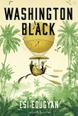 Washington Black Cover des Buches Washington Black (ISBN: 9783847900597)