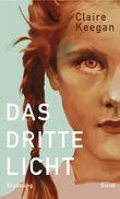 Das dritte Licht Cover des Buches Das dritte Licht (ISBN: 9783969991992)