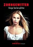 ZORNGEWITTER Eisige Seelensplitter Cover des Buches ZORNGEWITTER Eisige Seelensplitter (ISBN: B079HZ5R6R)
