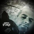 Gabriel Stark Autorenbild von Gabriel Stark (©Gabriel Stark)