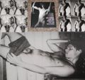 Andy Warhol Eros and Mortality. The Late Male Nudes Cover des Buches Andy Warhol Eros and Mortality. The Late Male Nudes (ISBN: 9780975331767)