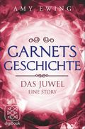 Garnets Geschichte Cover des Buches Garnets Geschichte (ISBN: null)