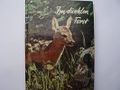 Im dunklen Forst Cover des Buches Im dunklen Forst (ISBN: 9783439781078)
