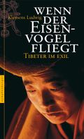Wenn der Eisenvogel fliegt Cover des Buches Wenn der Eisenvogel fliegt (ISBN: 9783485011525)