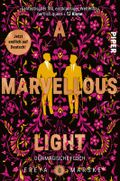 A Marvellous Light Cover des Buches A Marvellous Light (ISBN: 9783492708012)
