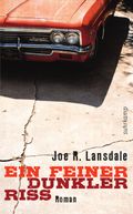 Ein feiner dunkler Riss Cover des Buches Ein feiner dunkler Riss (ISBN: 9783518464977)
