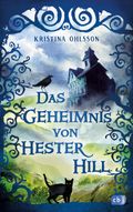 Das Geheimnis von Hester Hill Cover des Buches Das Geheimnis von Hester Hill (ISBN: 9783570175149)