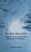 Du bist das Licht Cover des Buches Du bist das Licht (ISBN: 9783749792689)