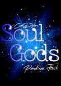 Soul Gods Cover des Buches Soul Gods (ISBN: 9783752841077)