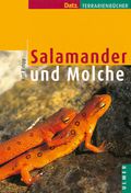 Salamander und Molche Cover des Buches Salamander und Molche (ISBN: 9783800138173)
