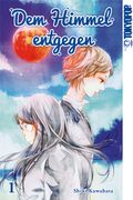 Dem Himmel entgegen 01 Cover des Buches Dem Himmel entgegen 01 (ISBN: 9783842030701)