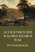 Als ich noch der Waldbauernbub war Cover des Buches Als ich noch der Waldbauernbub war (ISBN: 9783849693992)