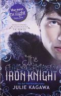 The Iron Knight Cover des Buches The Iron Knight (ISBN: 9781848450608)
