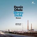 Streulicht Cover des Buches Streulicht (ISBN: B08ML21S47)
