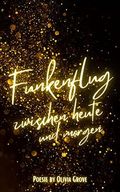 Funkenflug: Zwischen heute und morgen Cover des Buches Funkenflug: Zwischen heute und morgen (ISBN: B0989W6MNW)