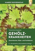 Gehölzkrankheiten: Ziersträucher, Allee- und Parkbäume Cover des Buches Gehölzkrankheiten: Ziersträucher, Allee- und Parkbäume (ISBN: B0CW1MZXQ7)