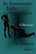 In dominanter Liebe - Die Probezeit Cover des Buches In dominanter Liebe - Die Probezeit (ISBN: B00P45OS5Y)