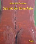 Sex mit der Ex im Auto Cover des Buches Sex mit der Ex im Auto (ISBN: 9783736896567)