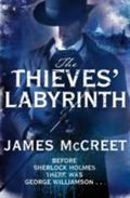 The Thieves' Labyrinth (Albert Newsome 3) Cover des Buches The Thieves' Labyrinth (Albert Newsome 3) (ISBN: 9780330517225)