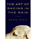 (THE ART OF RACING IN THE RAIN ) By Stein, Garth (Author) Hardcover Published on (05, 2008) Cover des Buches (THE ART OF RACING IN THE RAIN ) By Stein, Garth (Author) Hardcover Published on (05, 2008) (ISBN: B0058PYPP8)