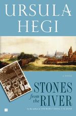 Stones from the River Cover des Buches Stones from the River (ISBN: 9781439144763)