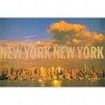 New York, New York Cover des Buches New York, New York (ISBN: 9780847842995)