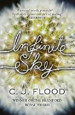 By C. J. Flood Infinite Sky Cover des Buches By C. J. Flood Infinite Sky (ISBN: 8601405704054)