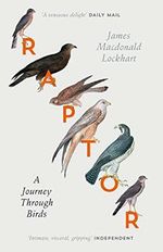 Raptor: A Journey Through Birds Cover des Buches Raptor: A Journey Through Birds (ISBN: 9780007459896)