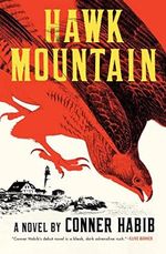 Hawk Mountain Cover des Buches Hawk Mountain (ISBN: 9780393542172)