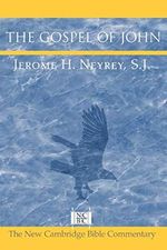 The Gospel of John (New Cambridge Bible Commentary) Cover des Buches The Gospel of John (New Cambridge Bible Commentary) (ISBN: 9780521535212)