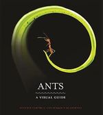 Ants: A Visual Guide Cover des Buches Ants: A Visual Guide (ISBN: 9780691228525)