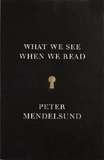 What We See When We Read Cover des Buches What We See When We Read (ISBN: 9780804171632)