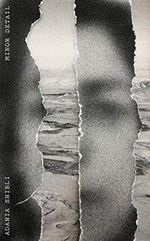 Minor Detail Cover des Buches Minor Detail (ISBN: 9780811229074)