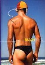 Beach Boys Cover des Buches Beach Boys (ISBN: 9780975088197)