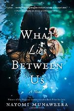 What Lies Between Us: A Novel Cover des Buches What Lies Between Us: A Novel (ISBN: 9781250043948)