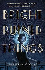 Bright Ruined Things Cover des Buches Bright Ruined Things (ISBN: 9781250768841)