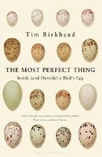 The Most Perfect Thing: Inside (and Outside) a Bird's Egg Cover des Buches The Most Perfect Thing: Inside (and Outside) a Bird's Egg (ISBN: 9781408851258)