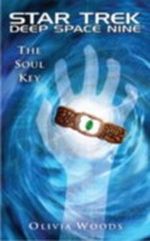 The Soul Key Cover des Buches The Soul Key (ISBN: 9781439107928)