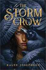The Storm Crow Cover des Buches The Storm Crow (ISBN: 9781492672937)