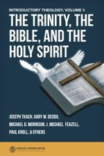 The Trinity, the Bible, and the Holy Spirit: Introductory Theology Volume 1 Cover des Buches The Trinity, the Bible, and the Holy Spirit: Introductory Theology Volume 1 (ISBN: 9781512336191)