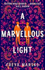 A Marvellous Light (English Edition) Cover des Buches A Marvellous Light (English Edition) (ISBN: 9781529080889)