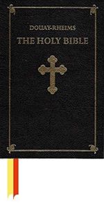 Douay-Rheims Holy Bible Cover des Buches Douay-Rheims Holy Bible (ISBN: 9781622921423)