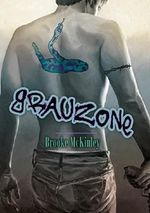 Grauzone Cover des Buches Grauzone (ISBN: 9781634779227)