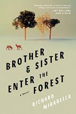 Brother & Sister Enter the Forest: A Novel Cover des Buches Brother & Sister Enter the Forest: A Novel (ISBN: 9781646221172)