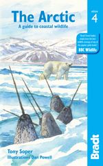 Arctic Cover des Buches Arctic (ISBN: 9781784776435)